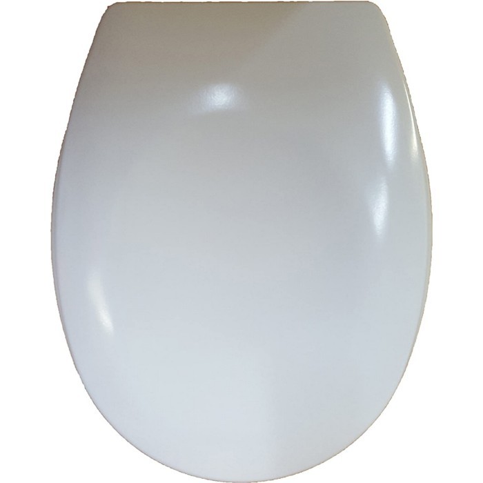 bathrooms/toilet-brushes/toilet-seat-soft-close-white