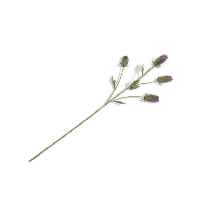 home-decor/artificial-plants-flowers/promo-coco-maison-dipsacus-spray-h90-cm