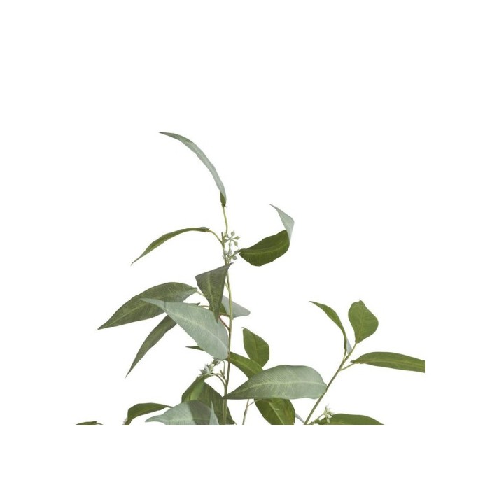 home-decor/artificial-plants-flowers/coco-maison-eucalypthus-tree-plant-–-h195cm