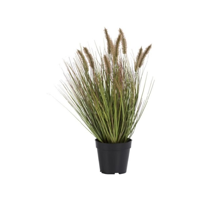 home-decor/artificial-plants-flowers/coco-maison-pennisetum-grass-plant-h58cm-polyester