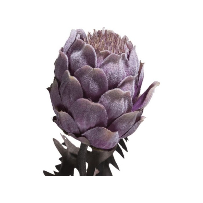 home-decor/artificial-plants-flowers/promo-coco-maison-protea-spray-h63cm-polyester
