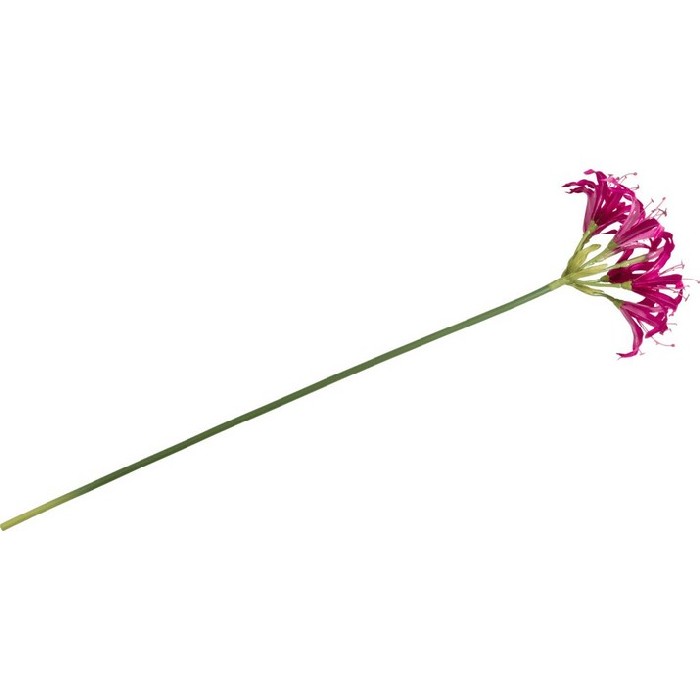 home-decor/artificial-plants-flowers/promo-coco-maison-nerine-spray-h75cm