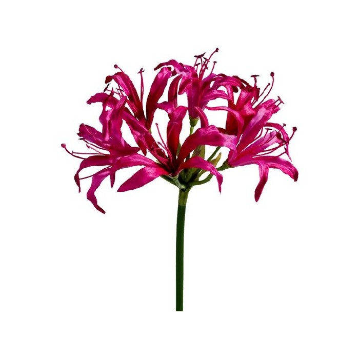 home-decor/artificial-plants-flowers/promo-coco-maison-nerine-spray-h75cm