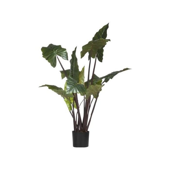 home-decor/artificial-plants-flowers/promo-coco-maison-colocasia-h130cm