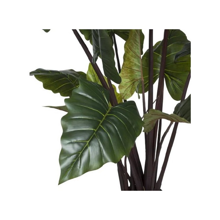 home-decor/artificial-plants-flowers/promo-coco-maison-colocasia-h130cm