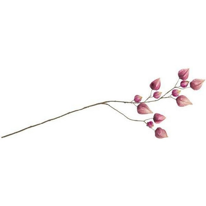 home-decor/artificial-plants-flowers/promo-coco-maison-artificial-physalis-flower-–-h95cm