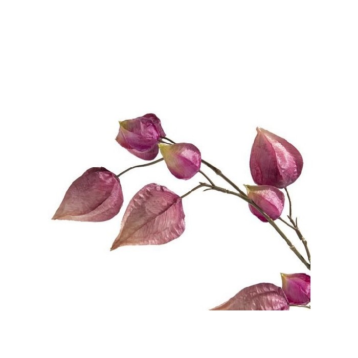 home-decor/artificial-plants-flowers/promo-coco-maison-artificial-physalis-flower-–-h95cm