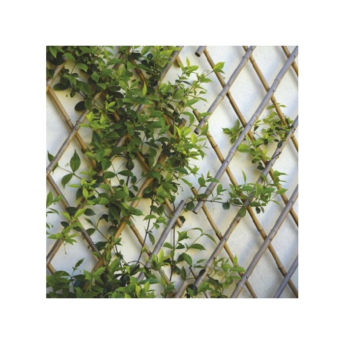 gardening/fence-trellis/bamboo-extendible-trellis-180cm-x-240cm