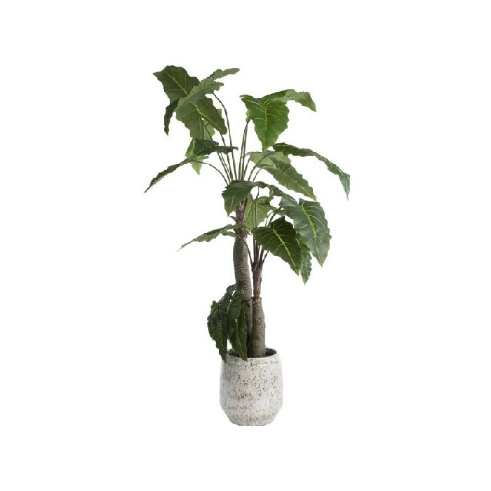 home-decor/artificial-plants-flowers/coco-maison-alocasia-giant-tree-h180cm-artificial-plant