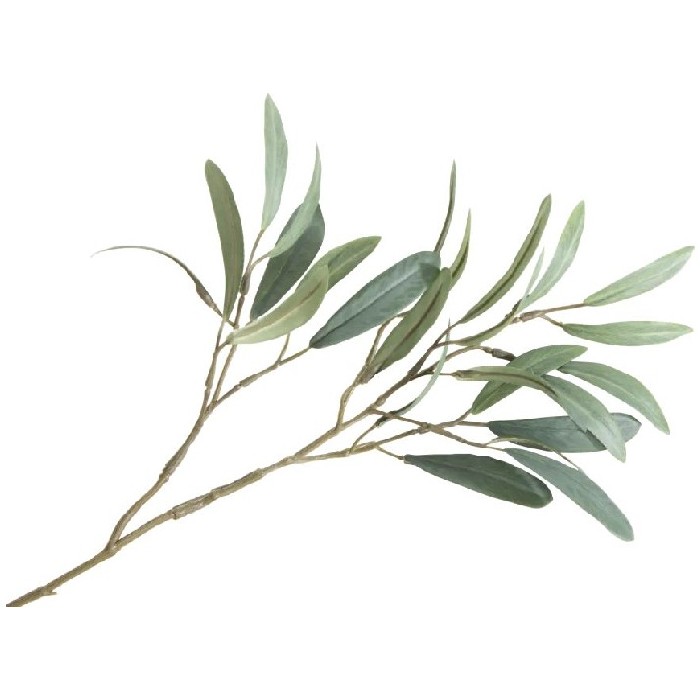 home-decor/artificial-plants-flowers/coco-maison-olive-leaf-h82cm-artificial-plant