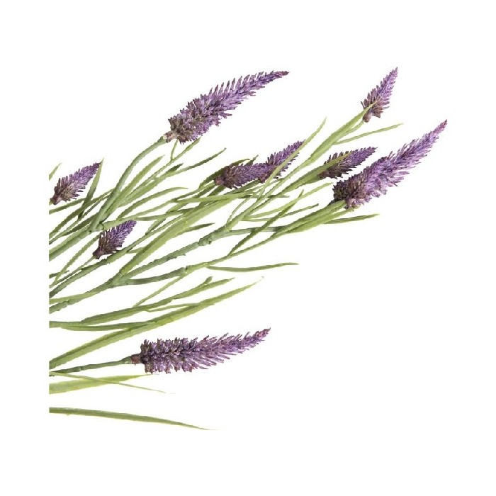 home-decor/artificial-plants-flowers/coco-maison-trifolium-spray-h78cm-artificial-flower