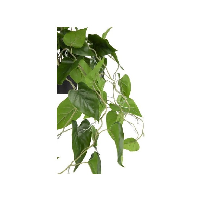 home-decor/artificial-plants-flowers/coco-maison-philodendron-in-pot-80cm