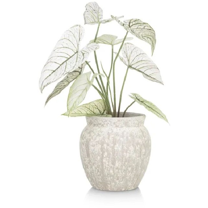 home-decor/indoor-pots-plant-stands/coco-maison-braga-pot-h25cm
