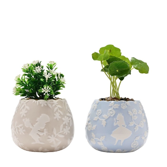 home-decor/indoor-pots-plant-stands/disney-alice-in-wonderland-set-of-2-mini-plant-pots-with-everlasting-plants