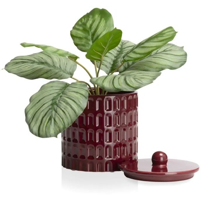 home-decor/indoor-pots-plant-stands/coco-maison-bisko-pot-h165cm