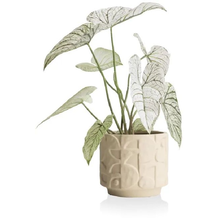 home-decor/indoor-pots-plant-stands/coco-maison-alex-pot-d21cm