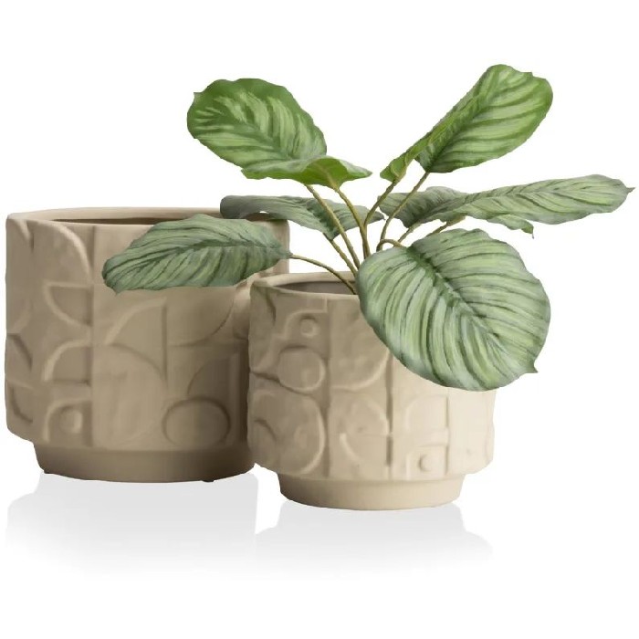 home-decor/indoor-pots-plant-stands/coco-maison-alex-pot-d21cm