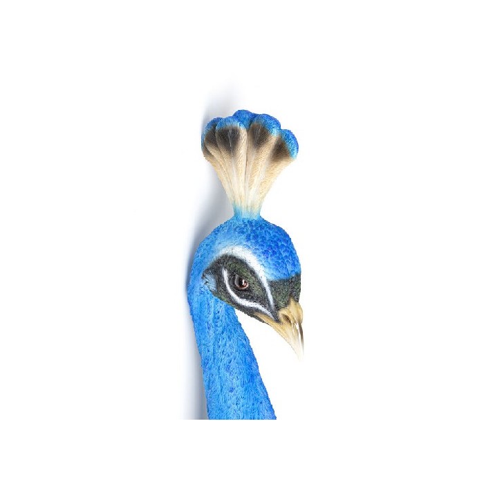 home-decor/wall-decor/kare-wall-decoration-peacock