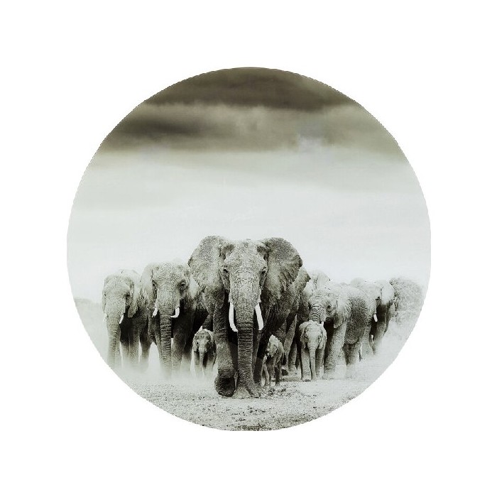 home-decor/wall-decor/promo-kare-glass-picture-elephant-walk-ø120cm