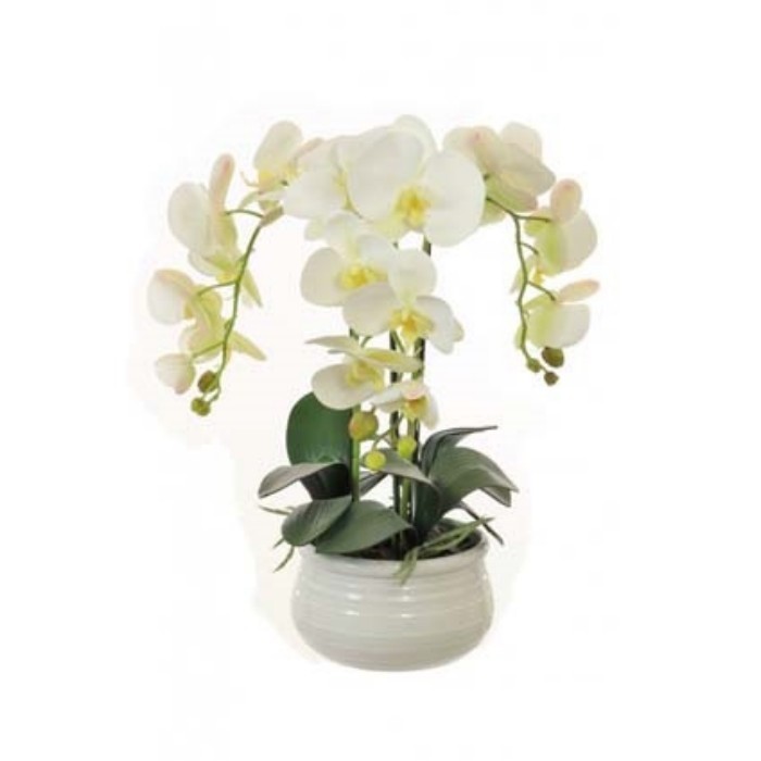 home-decor/artificial-plants-flowers/triple-orchid-white-potted
