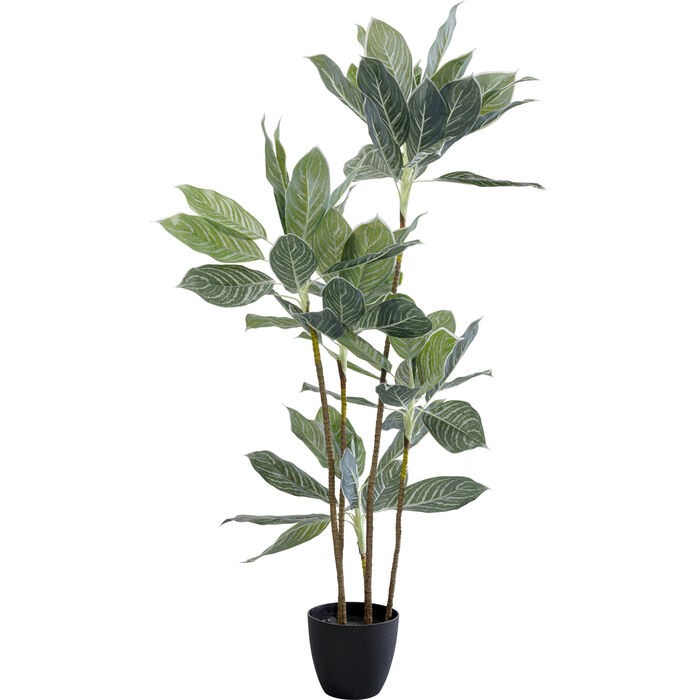 home-decor/artificial-plants-flowers/kare-decorative-plant-calathea-–-140cm-–-55914