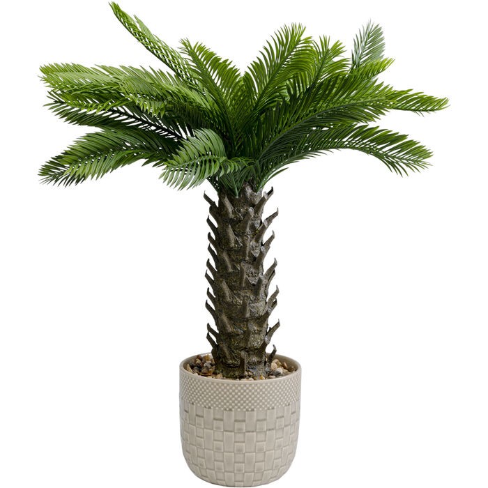 home-decor/artificial-plants-flowers/kare-decorative-plant-cycas-–-70cm-–-55918