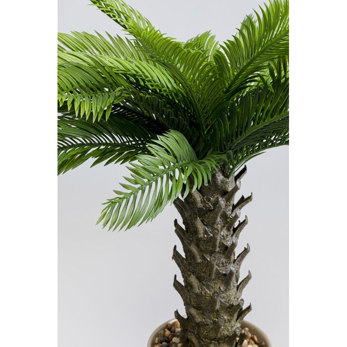 home-decor/artificial-plants-flowers/kare-decorative-plant-cycas-–-70cm-–-55918