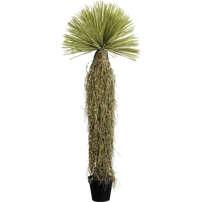 home-decor/artificial-plants-flowers/kare-decorative-plant-yucca-–-170cm-–-55919