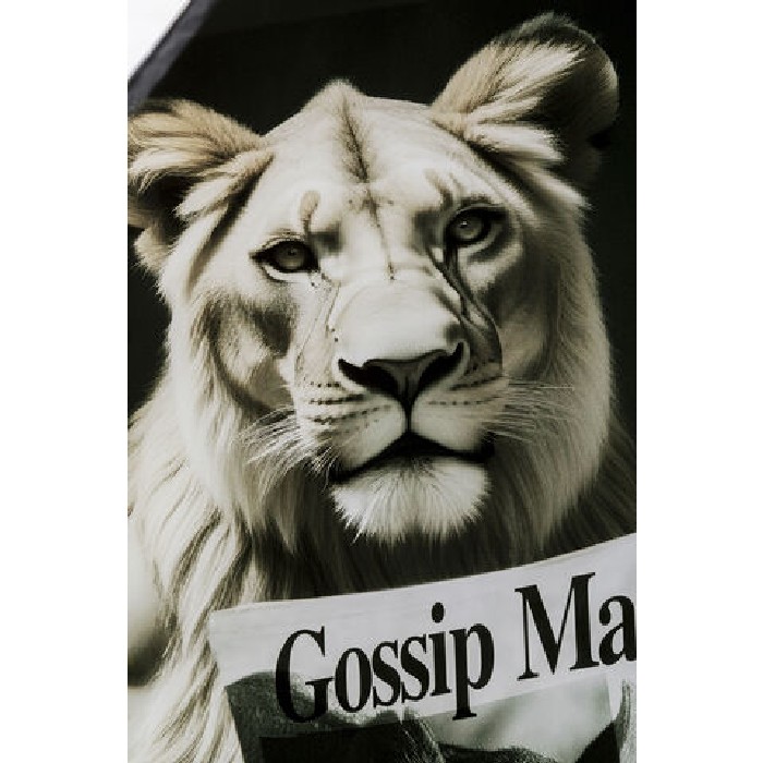 home-decor/wall-decor/kare-glass-picture-bath-lioness-60cm-x-80cm-grey