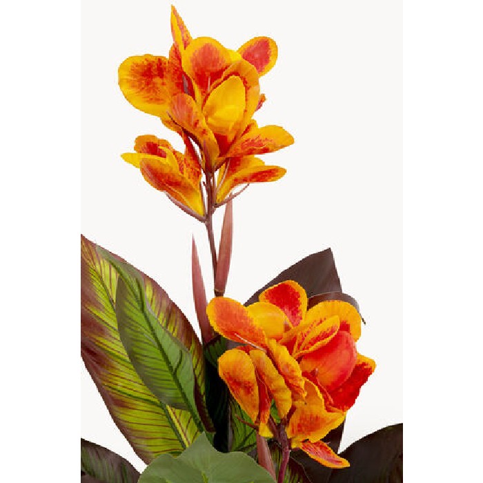 home-decor/artificial-plants-flowers/kare-canna-lily-decorative-plant-115cm