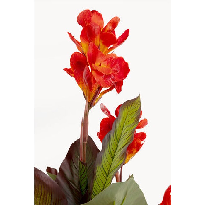 home-decor/artificial-plants-flowers/kare-canna-lily-decorative-plant-165cm