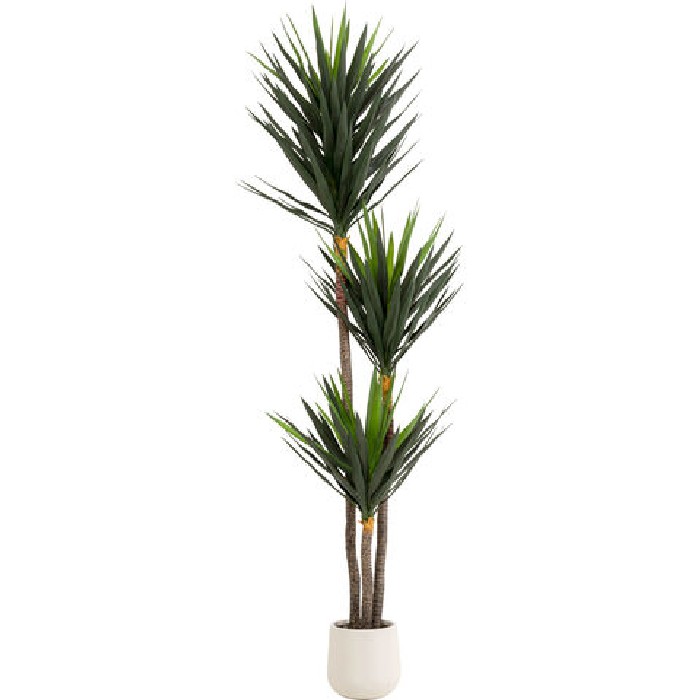 home-decor/artificial-plants-flowers/kare-yucca-decorative-plant-250cm