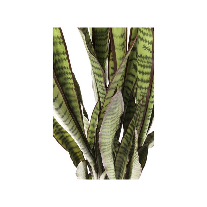 home-decor/artificial-plants-flowers/kare-deco-plant-sansewieria-155cm