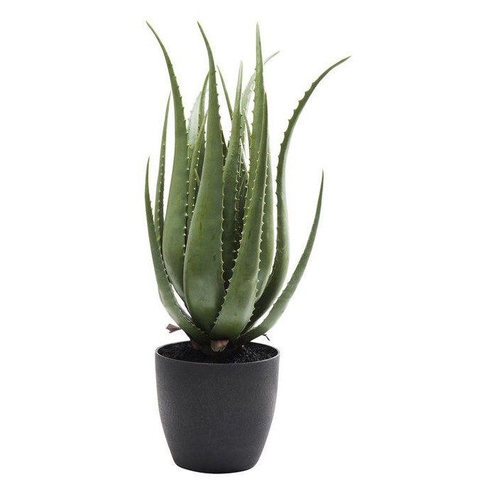 home-decor/artificial-plants-flowers/kare-deco-plant-aloe-69cm