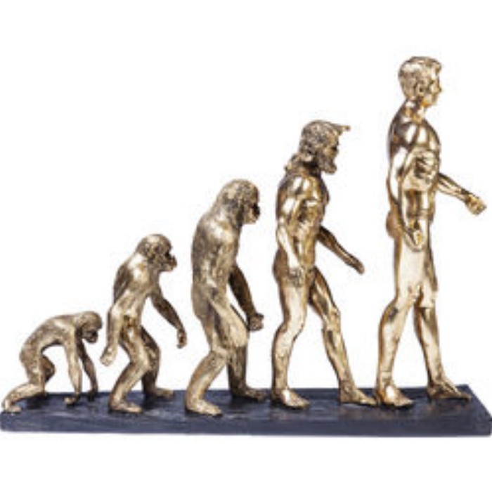 home-decor/decorative-ornaments/kare-deco-figurine-evolution