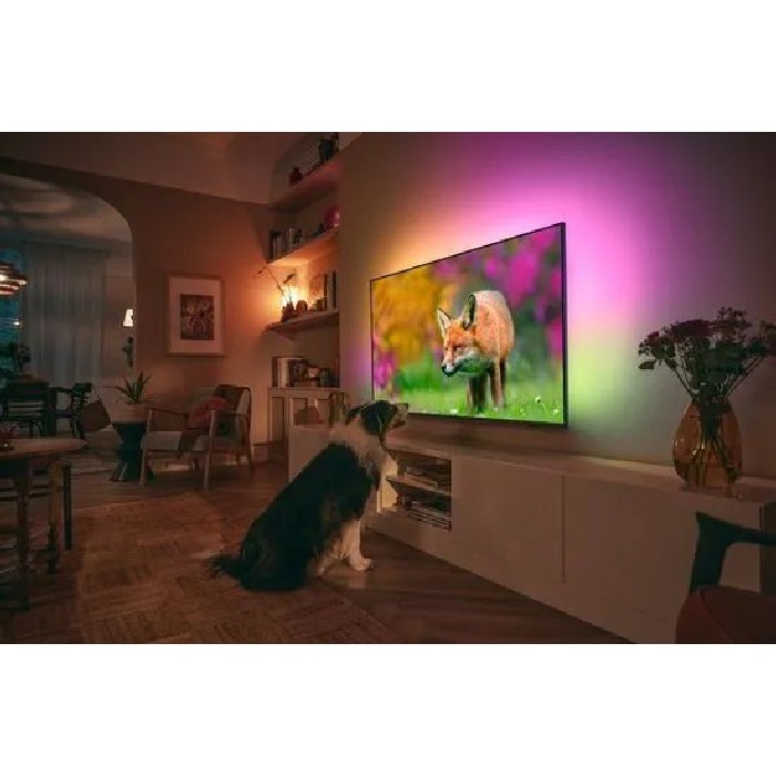 electronics/televisions/philips-ambilight-65-inch-4k-led-tv-65pus8919