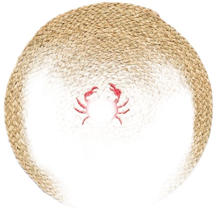 tableware/placemats-coasters-trivets/coincasa-marine-embroidered-placemat-6812833