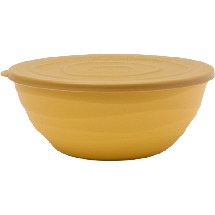 tableware/plates-bowls/coincasa-plastic-bowl-with-lid-6816965