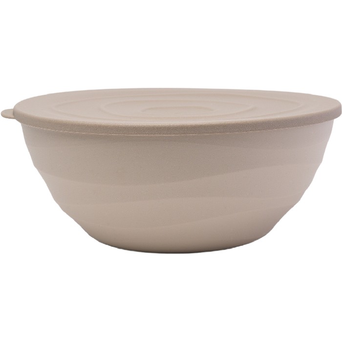 tableware/plates-bowls/coincasa-plastic-bowl-with-lid-6816967