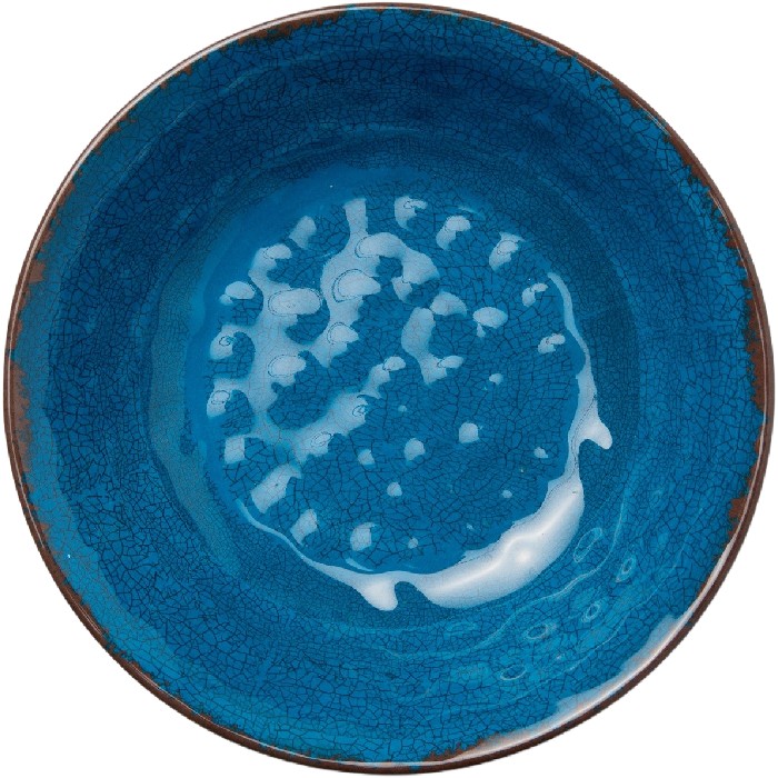 tableware/plates-bowls/coincasa-blue-melamine-soup-plate-6816970