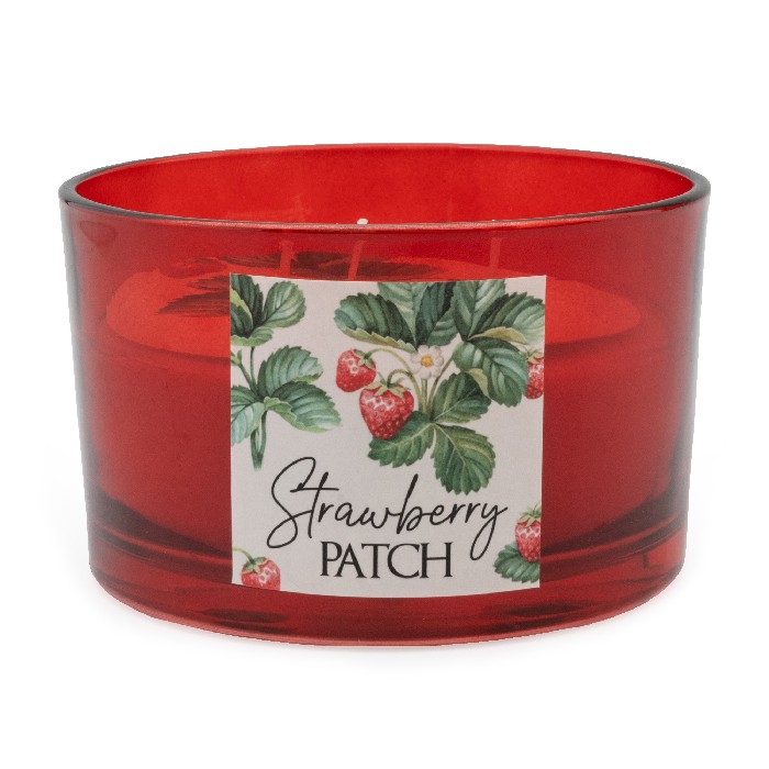 home-decor/candles-home-fragrance/3-wick-candle-strawberry-patch