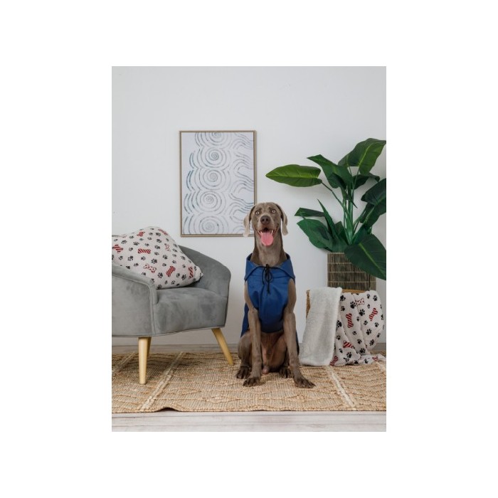 other/pet-care-accessories/promo-coincasa-london-waterproof-breathable-fabric-coat-7212772