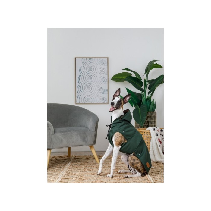 other/pet-care-accessories/coincasa-hannover-waterproof-cotton-coat