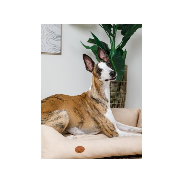 other/pet-care-accessories/coincasa-waterproof-nubuck-effect-kennel