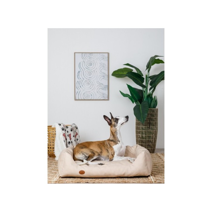 other/pet-care-accessories/coincasa-waterproof-nubuck-effect-kennel