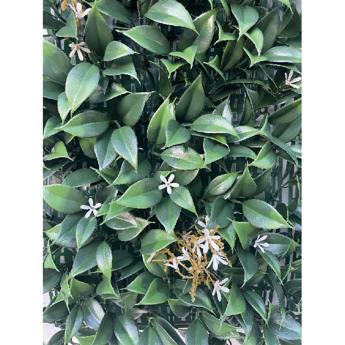 home-decor/artificial-plants-flowers/gelsomino-green-wall-1m-x-1m