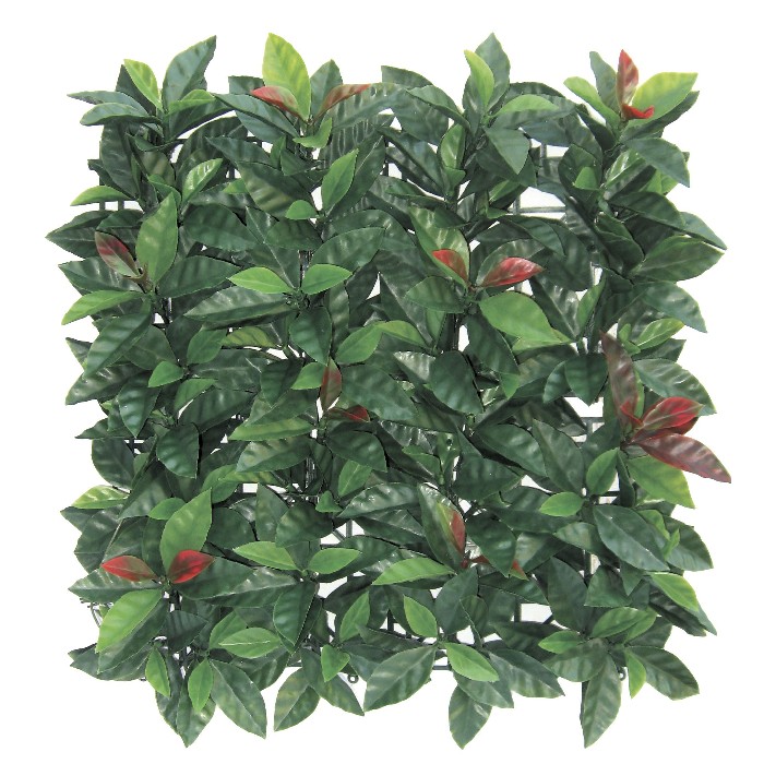 home-decor/artificial-plants-flowers/redplast-green-wall-1m-x-1m
