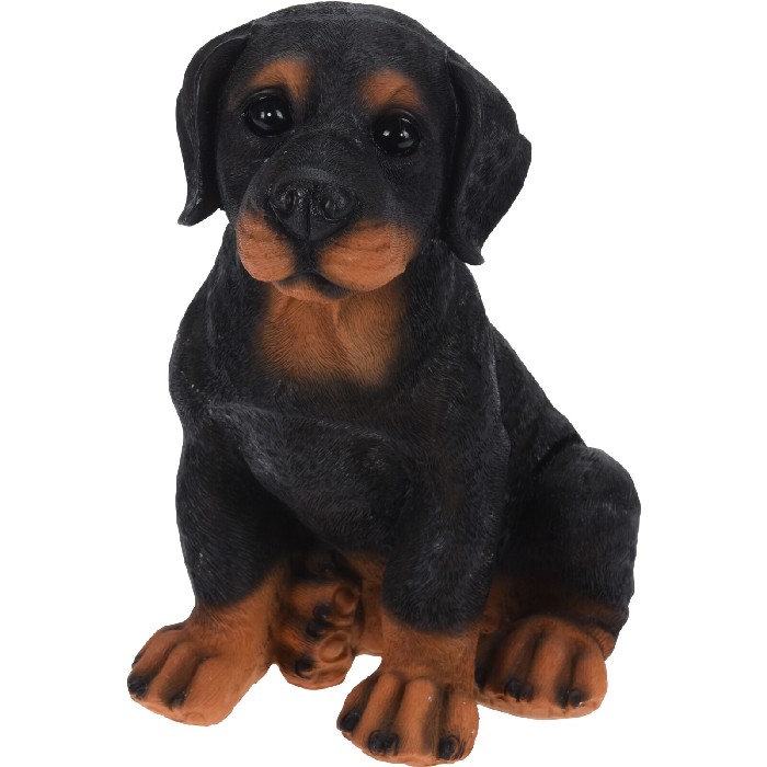 home-decor/decorative-ornaments/dog-sitting-assorted-by-3-27cm