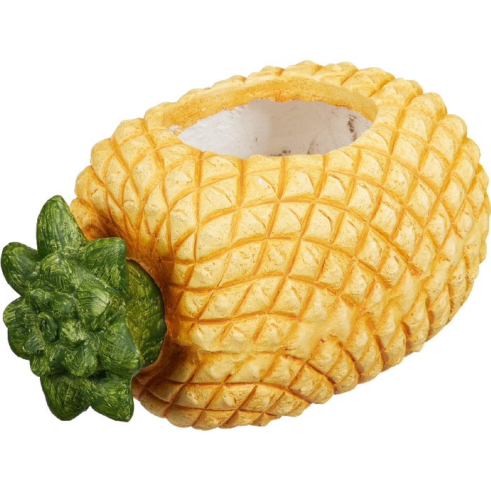 home-decor/indoor-pots-plant-stands/mango-wood-fruit-shaped-planter-4-assorted-designs