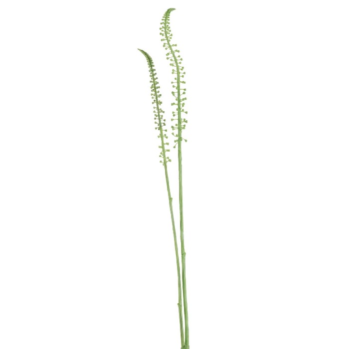 home-decor/artificial-plants-flowers/branch-corn-shoot-plastic-green